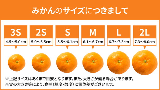 和歌山県産 有田みかん 約3kg 秀品 ※2025年10月中旬～2026年1