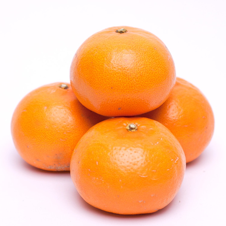 ＜2月より発送＞厳選 せとか2.5kg+250g（傷み補償分）◇｜柑