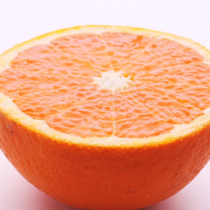 ＜2月より発送＞厳選 清見オレンジ1kg+250g（傷み補償分）◇