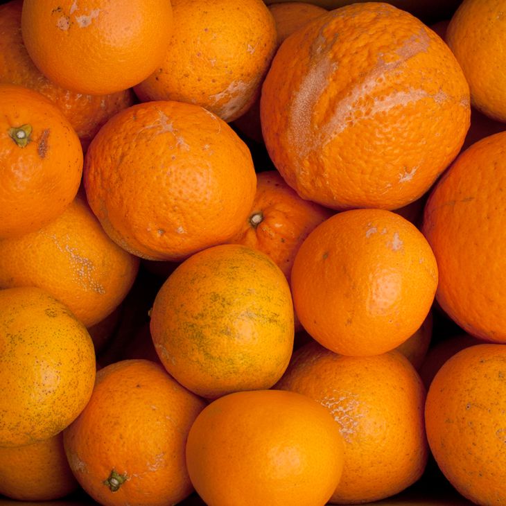 ＜2月より発送＞家庭用 清見オレンジ2.5kg+75g（傷み補償分）