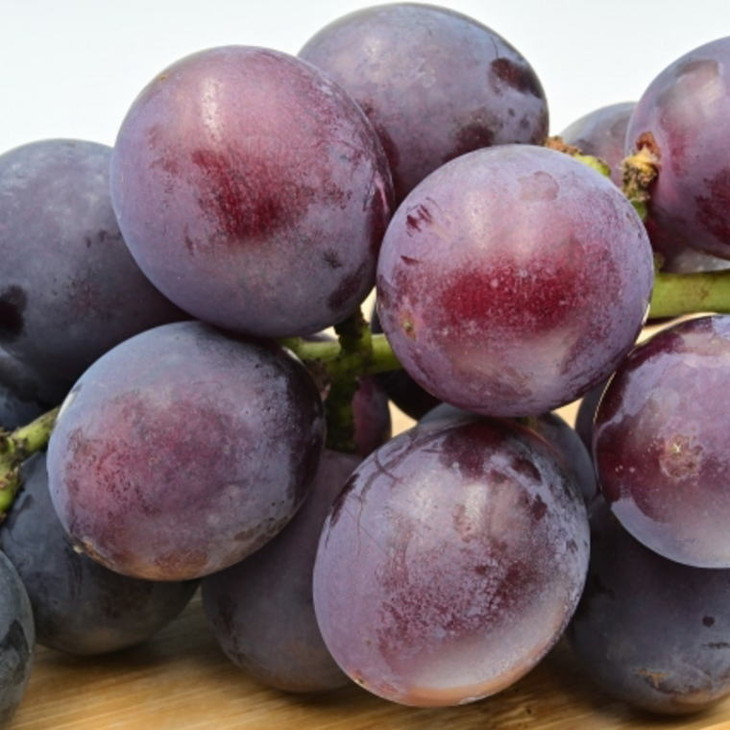 【新鮮・産直】和歌山県産紀の川のカット巨峰約800g｜ぶど