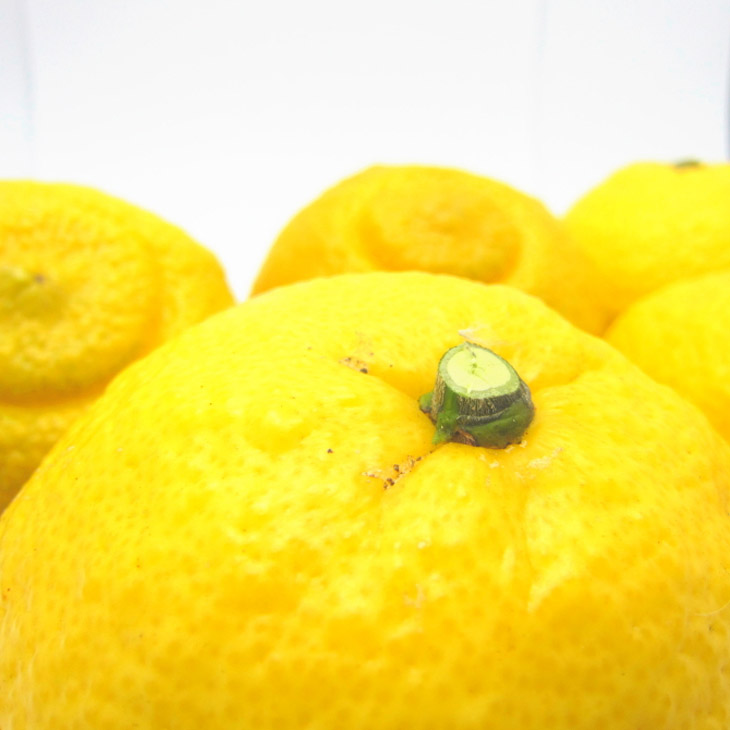 【先行予約】【農家直送】爽やかカンキツ はるかみかん（