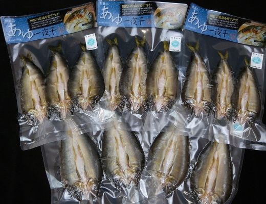 【大人気】「旨いはずです。」特選あゆ一夜干しセット（