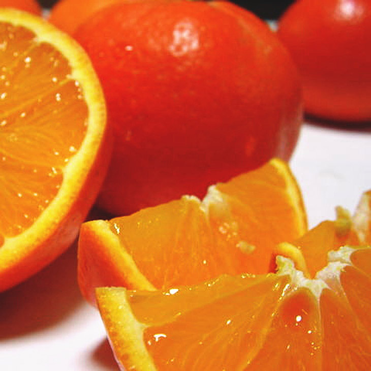 【先行予約】【春の美味】【農家直送】爽快カンキツ　セ