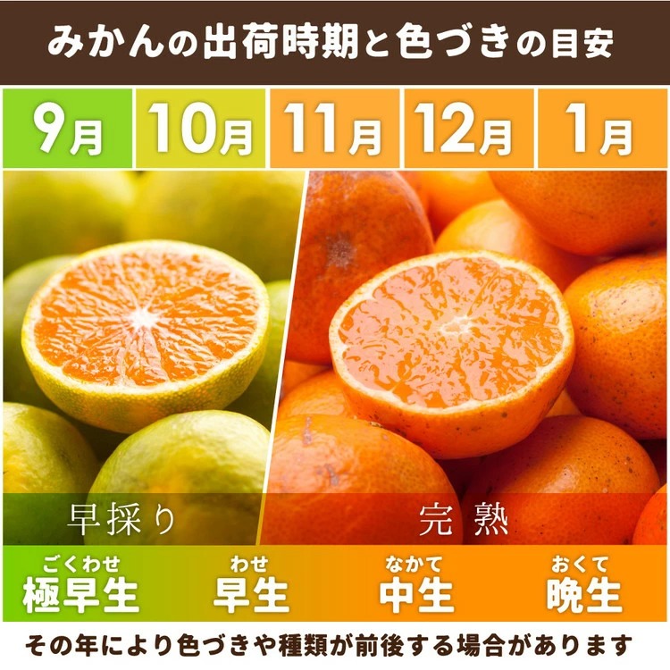 〈2026年1月より発送〉家庭用 蔵出しみかん 2.5kg+250g（傷み補