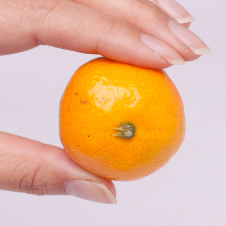 家庭用 小玉な有田みかん5kg+250g（傷み補償分）【わけあり