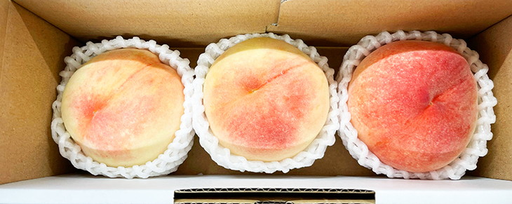 秀品 紀州和歌山産の桃 3玉 化粧箱入 ｜ もも モモ 桃 国産 
