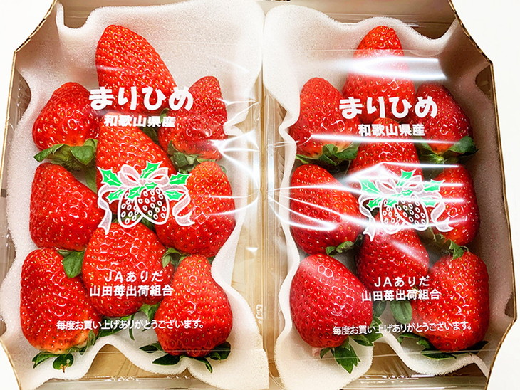 紀州和歌山ブランドいちご「まりひめ」約280g×2P ※2026年1月