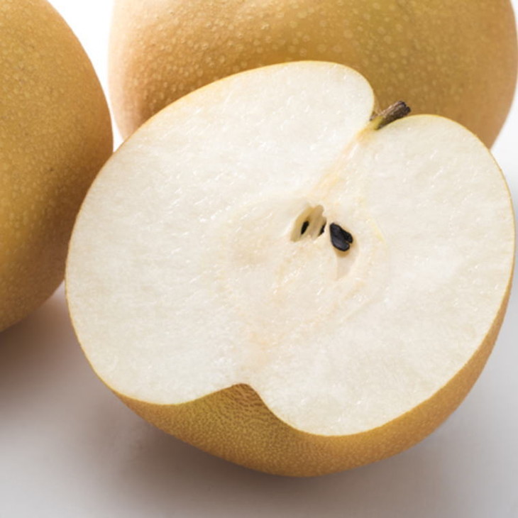 【数量限定】和歌山県産の梨 約2kg（品種おまかせ）