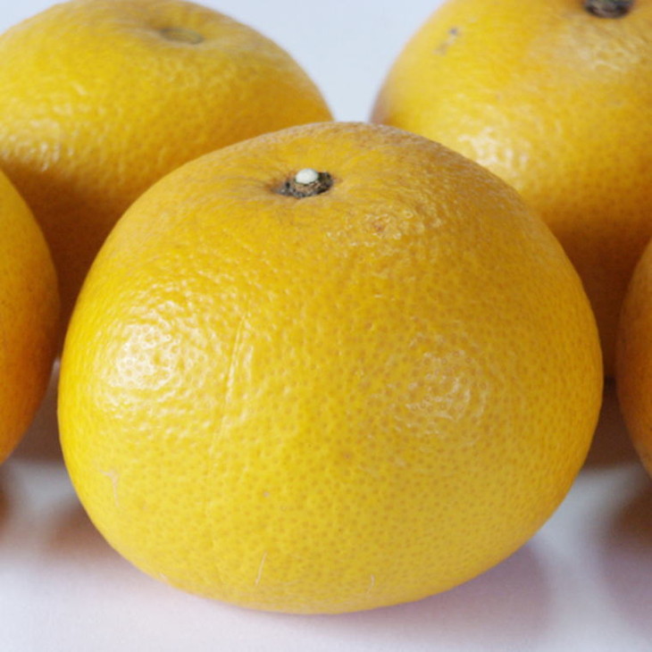 【手選果】有田産の八朔10kg（Lまたは2Lサイズいずれかお届