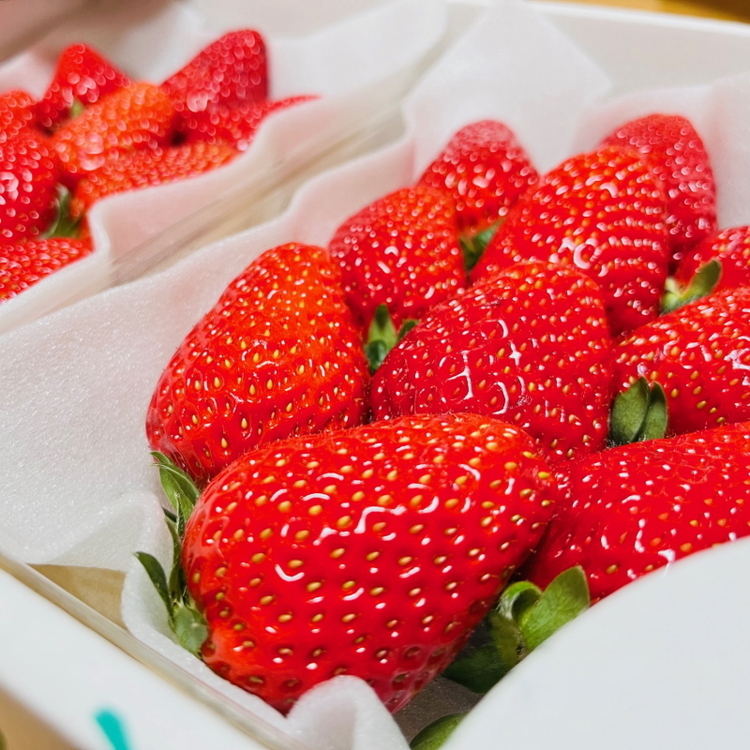 【和歌山ブランド苺】完熟まりひめいちご　2パック【2025年