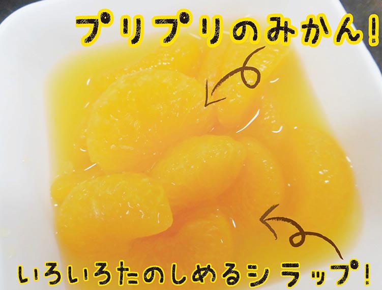 【2025年3月中旬より発送予定】紀州のみかん缶詰（みかん果