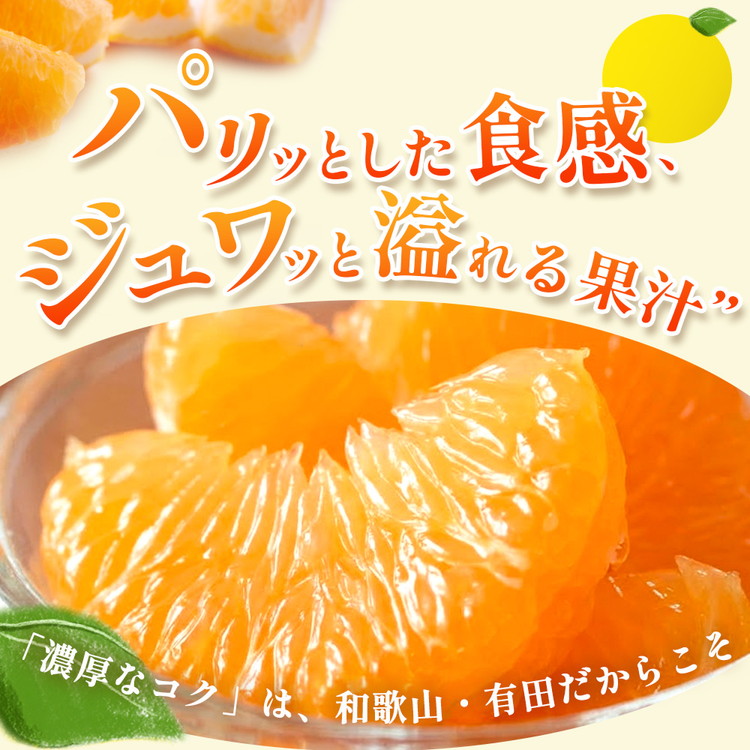 ＜1月より発送＞家庭用 はっさく7.5kg+250g（傷み補償分） ｜ 