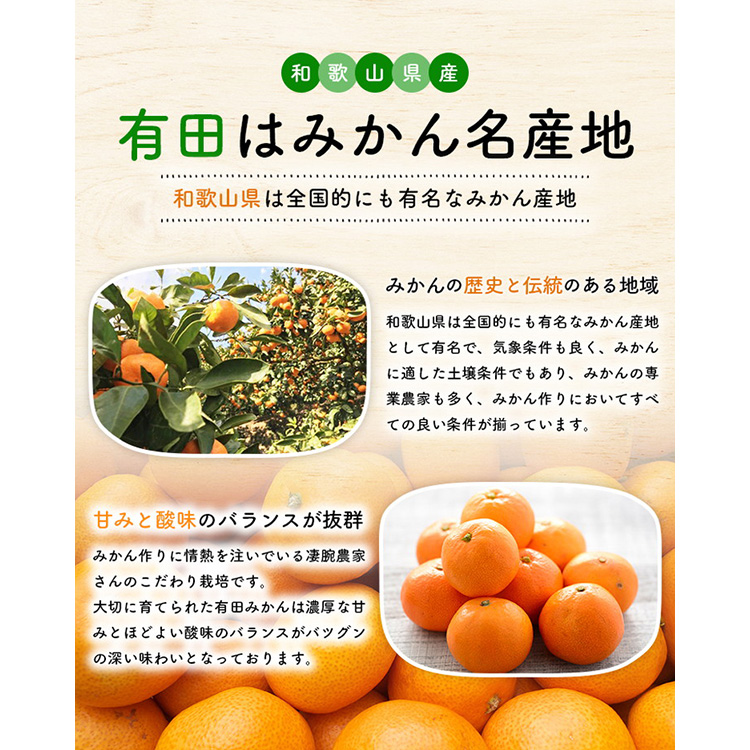 【先行予約】【数量限定】濃厚有田みかん(ご家庭用) 5.2kg(5k