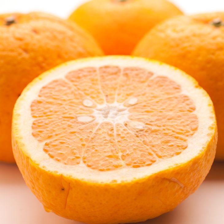 ＜4月より発送＞厳選 甘夏柑2.5kg+250g（傷み補償分）◇【初