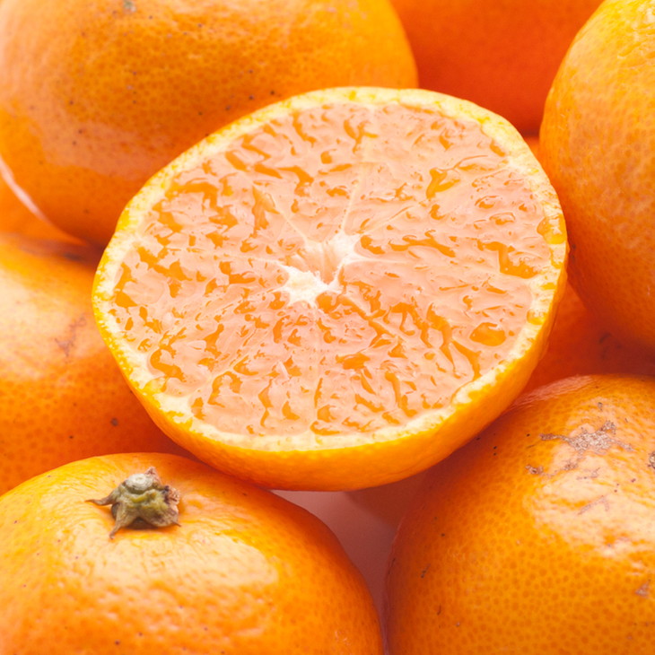 家庭用 小玉な有田みかん2.5kg+250g（傷み補償分）【わけあり