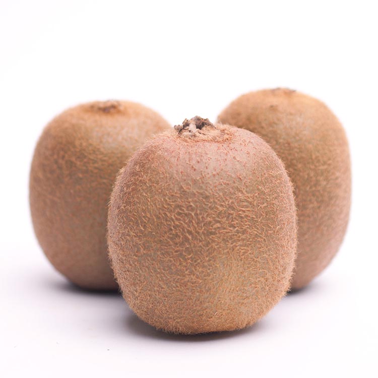 ＜2025年11月より発送＞厳選 キウイフルーツ5kg+250g（傷み補