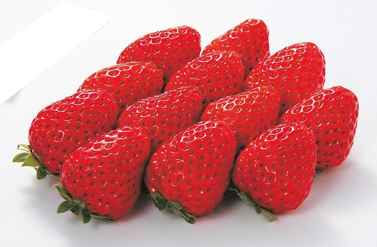 〈定期便〉【2・7・8月 全3回】和歌山厳選フルーツ（いちご