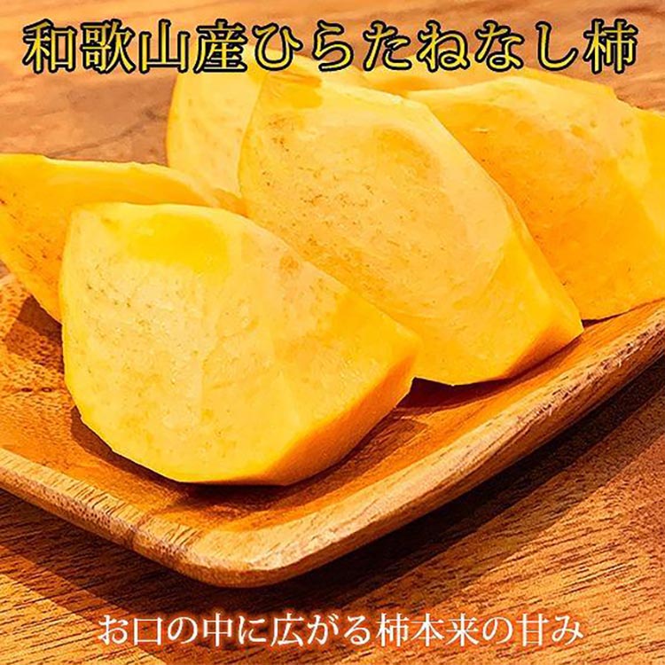 〈定期便〉【10・11・12月 全3回】和歌山人気のフルーツ定期