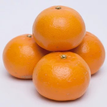 ＜2月より発送＞厳選 せとか1kg+250g（傷み補償分）◇｜柑橘