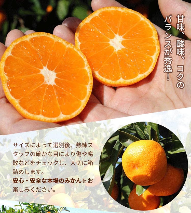 ＼光センサー選別／こだわりの完熟有田みかん 5kg＋150g(傷