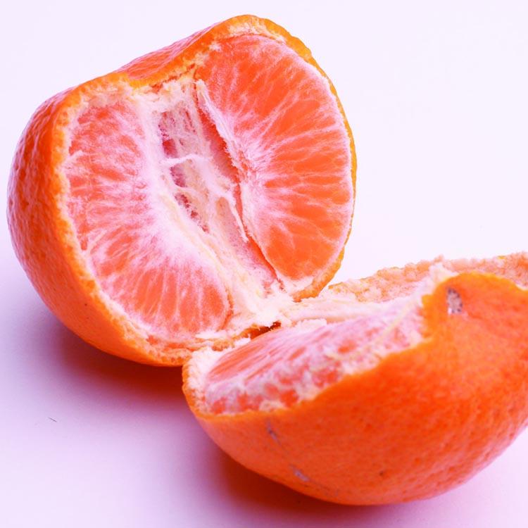 ＜1月より発送＞厳選 ポンカン1kg+250g（傷み補償分） ※北海