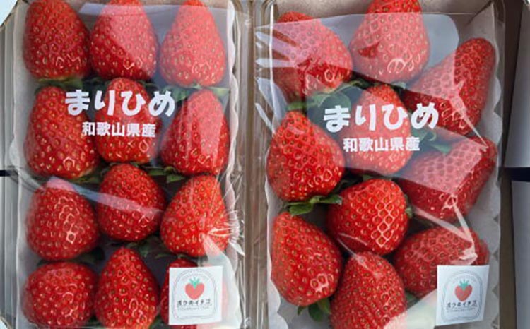 【4月発送】和歌山県産ブランドいちご「まりひめ」約300g×2