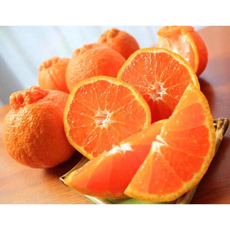 【ご家庭用訳有り】紀州有田産不知火(しらぬひ)約3kg ※2026