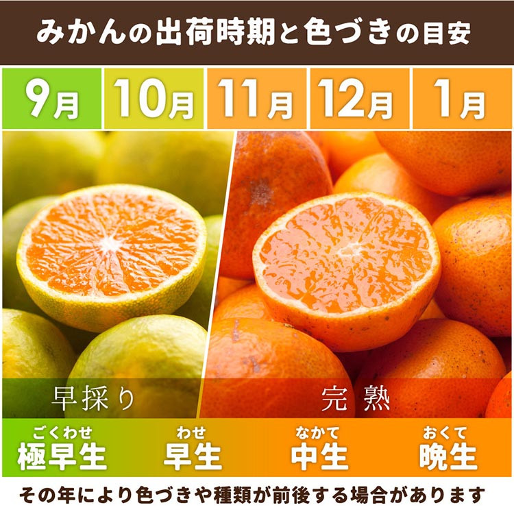 家庭用 完熟 有田みかん1kg+250g（傷み補償分）サイズ混合 ※