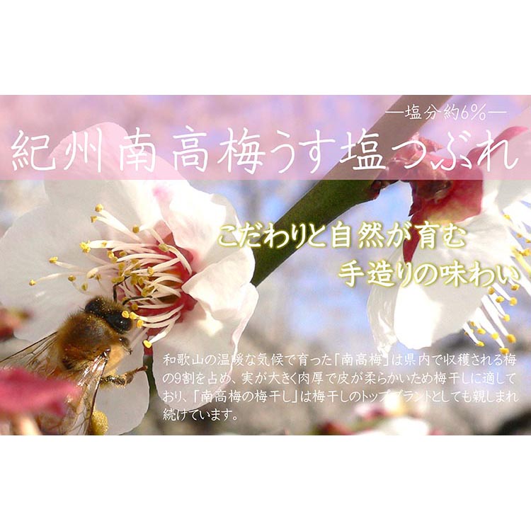 【定期便/3か月ごと/全3回】紀州南高梅うす塩つぶれ（塩分