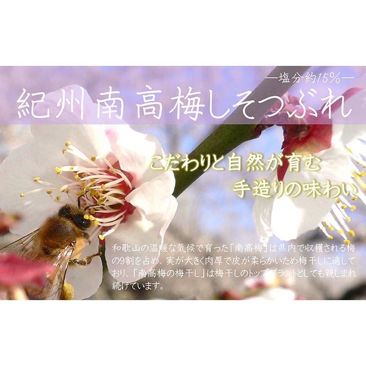 【定期便/3か月ごと/全3回】紀州南高梅しそ漬つぶれ（塩分