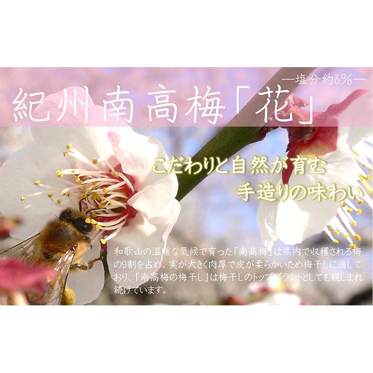 【定期便/2か月ごと/全5回】紀州南高梅「花」塩分約6％（850