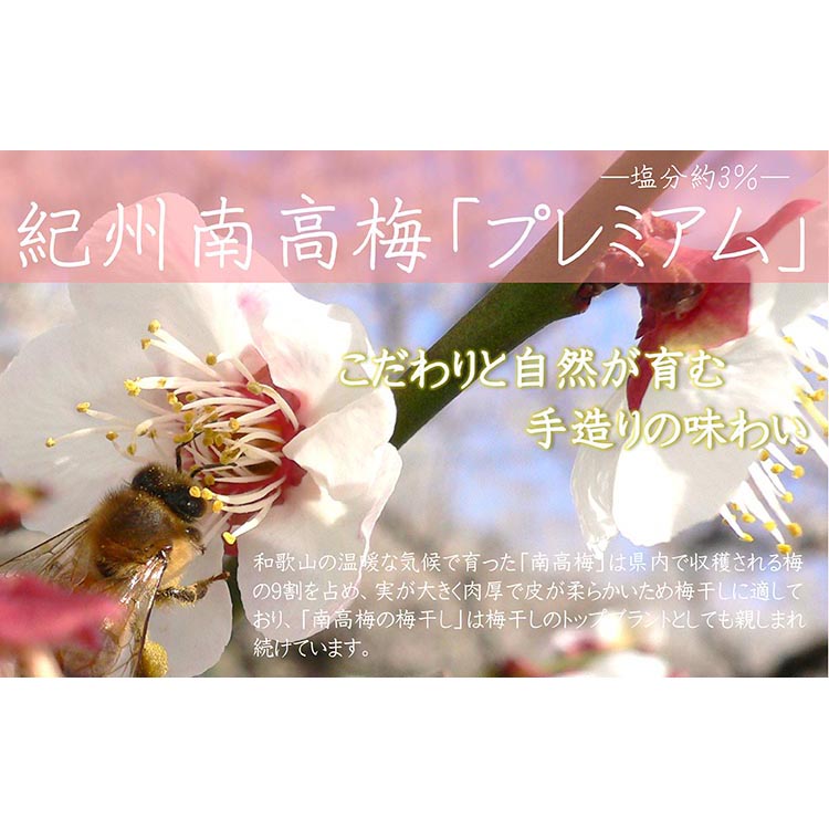 【定期便/2か月ごと/全5回】紀州南高梅プレミアム塩分約3％