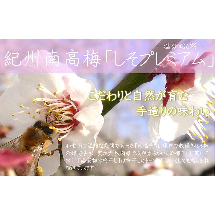 【定期便/2か月ごと/全5回】紀州南高梅しそプレミアム塩分