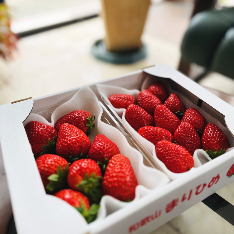 農家直送 朝摘み 完熟 まりひめ いちご 約600g（約300g×2パッ