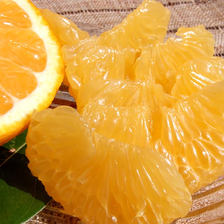 甘夏(あまなつ)秀品[約7kg] 和歌山県有田産 春みかん 【果実