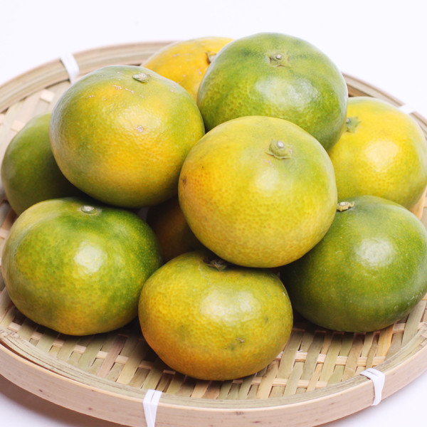 家庭用 極早生有田みかん1kg+250g（傷み補償分）【希少な新