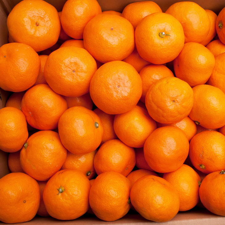 〈11月より発送〉完熟 プレミアム有田みかん 1kg+250g（傷み