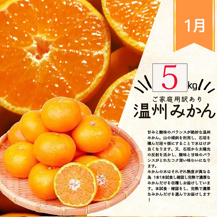 〈定期便〉【1・2・3月 全3回】紀州和歌山産旬のご家庭用柑