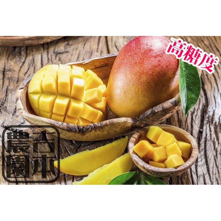 ◆先行予約◆和歌山県産　紀州完熟マンゴー『吉玉』約1kg