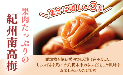 梅干し 無農薬、無添加の訳あり減塩つぶれ梅1kg（500g×2）塩