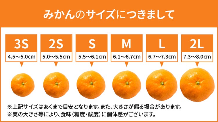 和歌山 湯浅町産 田村みかん 10kg【大玉】 ※2025年11月中旬～