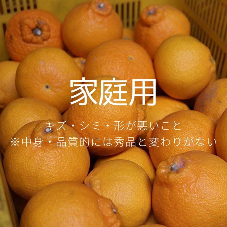 【まごころ手選別】和歌山産　有田の不知火(しらぬひ)約3kg