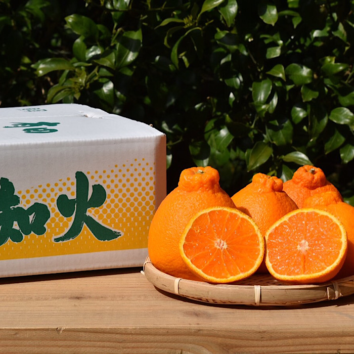 【まごころ手選別】和歌山産　有田の不知火(しらぬひ)8～11