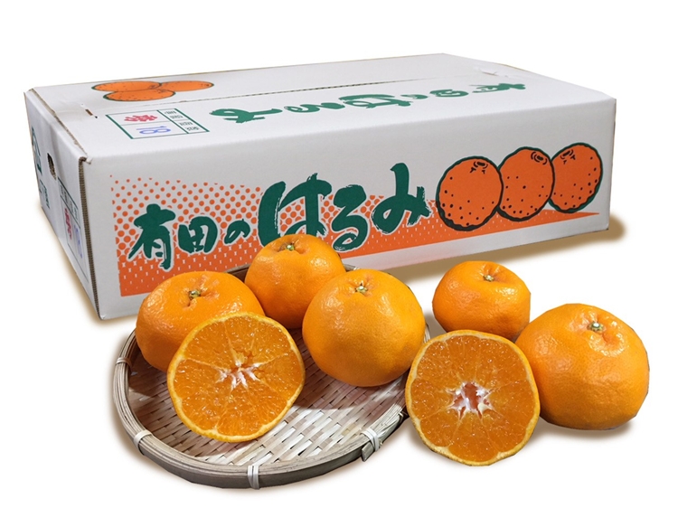 【まごころ手選別】和歌山産　有田のはるみ(L～2Lサイズ) 6