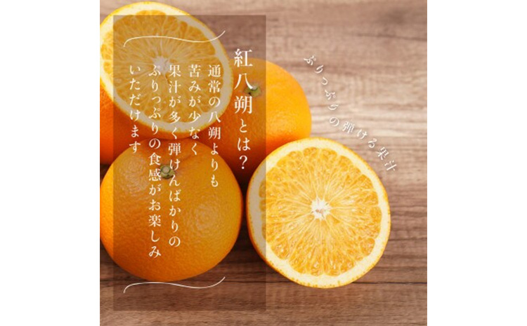 先行予約!紅はっさく 約5kg/12～18個入り(L～2Lサイズ)こだわ