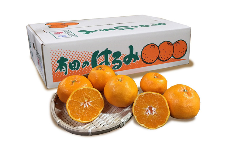 【まごころ手選別】和歌山産　有田のはるみ　8～11玉 ※2026