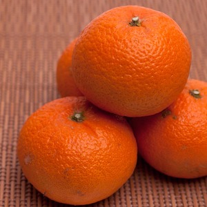 ＜2月より発送＞厳選 津之輝10kg+250g（傷み補償分）｜つのか