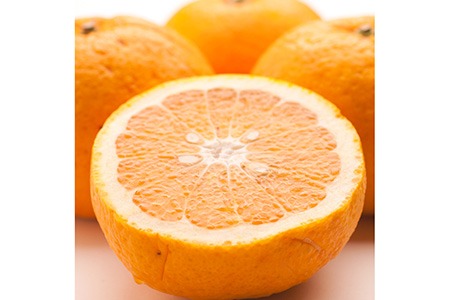 ＜4月より発送＞厳選 甘夏柑1kg+250g（傷み補償分）◇【初夏