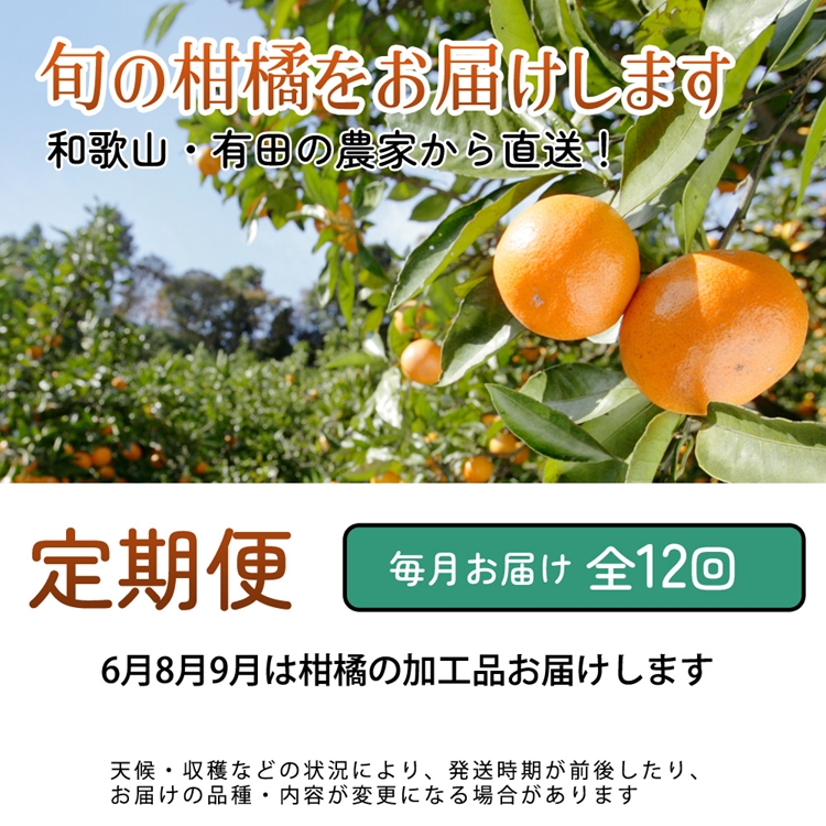 【定期便】厳選 柑橘定期便 S 12回（毎月）※北海道・沖縄